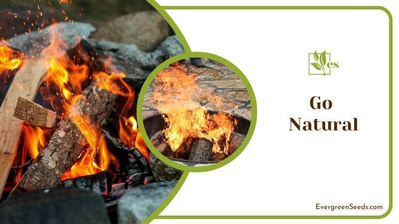 Natural Materials for Fire Decor