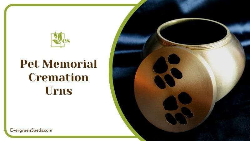 Pet Memorial Cremation Urns