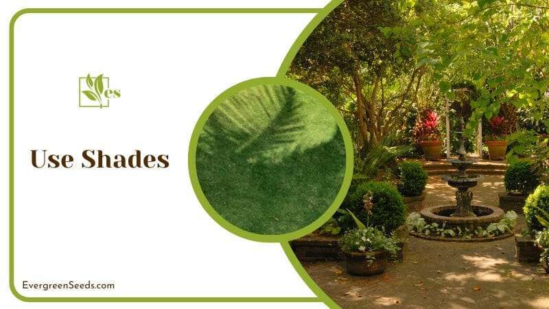 Use Shades for Minnesota Landscaping Ideas