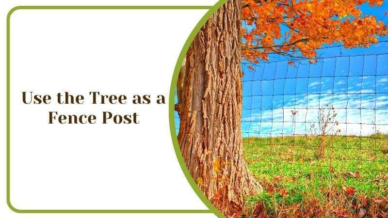 Use the Tree as a Fence Post