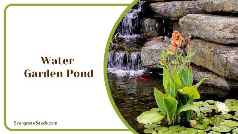 Water Garden Pond with Rocky Fountain and Orange Flowers and Fishes