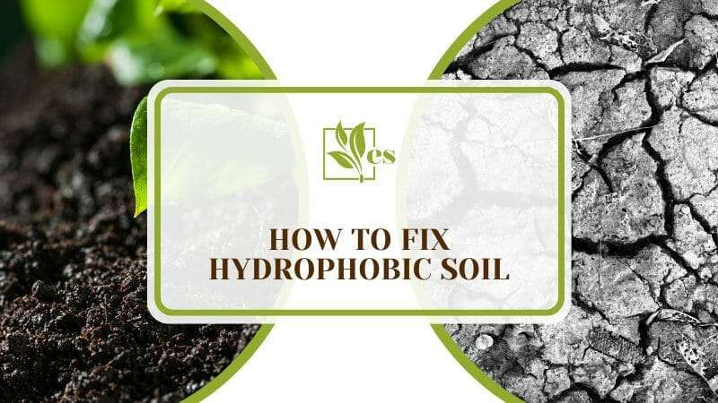 Fixing Your Hydrophobic Soil