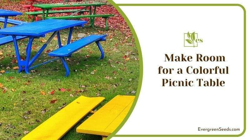 Make Room for a Colorful Picnic Table