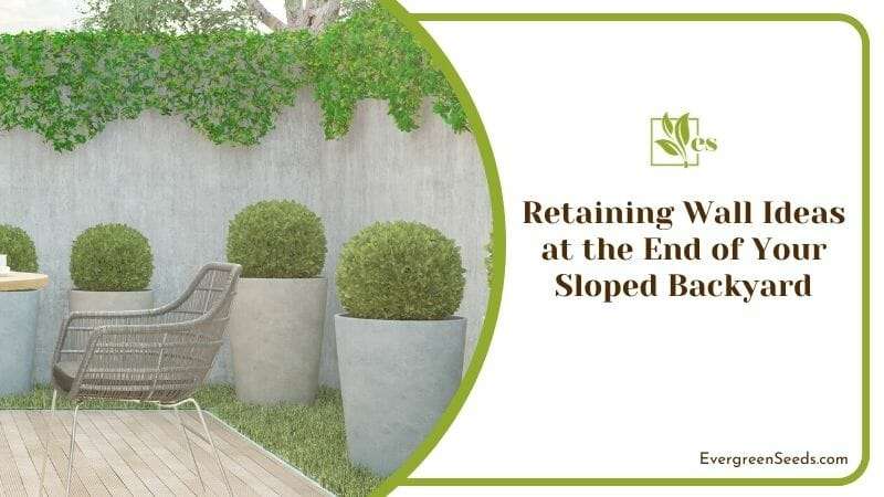 Retaining Wall Ideas at the End of Your Sloped Backyard