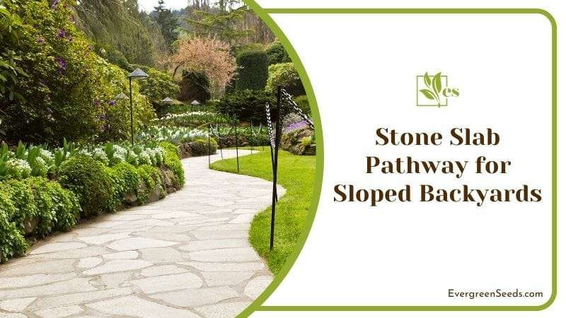 Stone Slab Pathway for Sloped Backyards