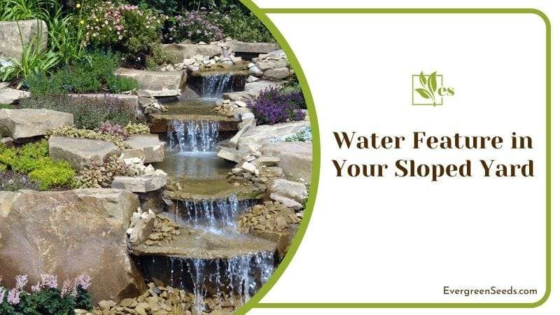 Water Feature in Your Sloped Yard