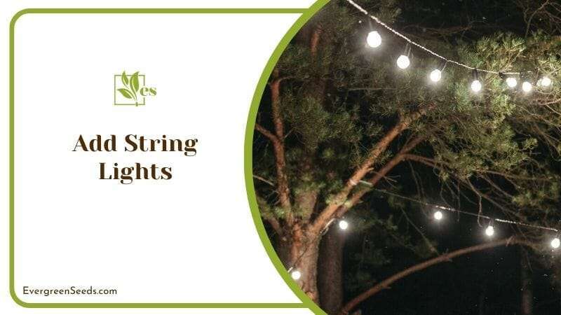 Add String Lights