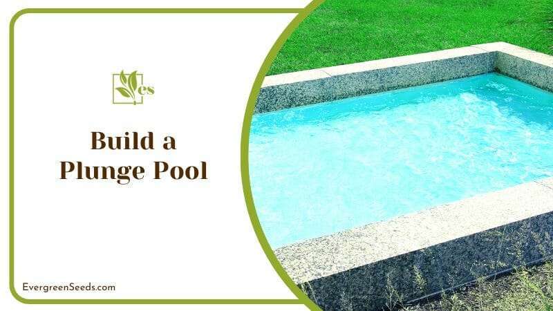 Affordable Plunge Pool on Backyard