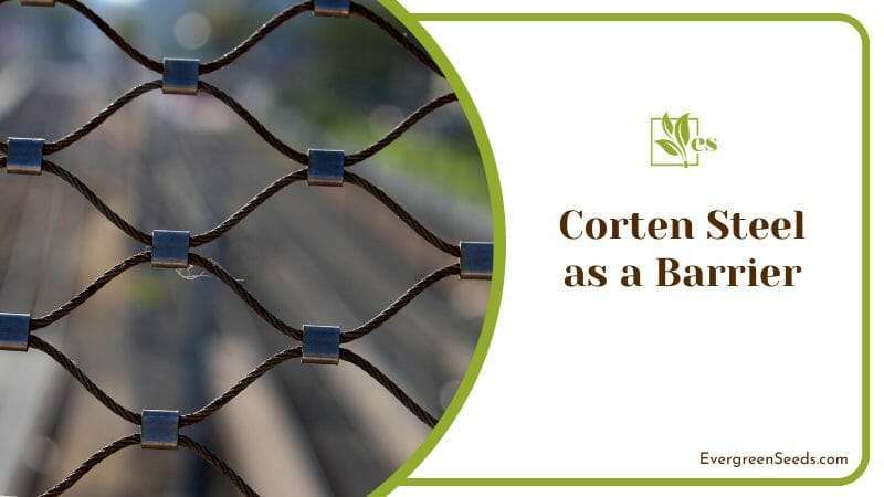 Corten Steel Wire Barrier