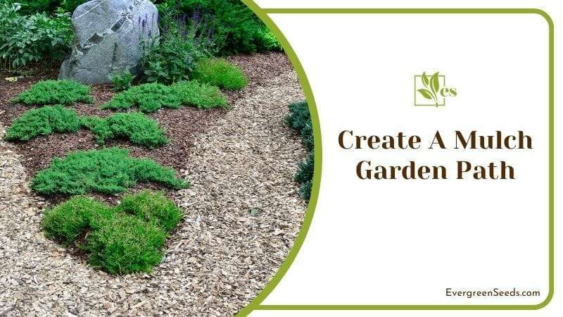 Create a Mulch Garden Path