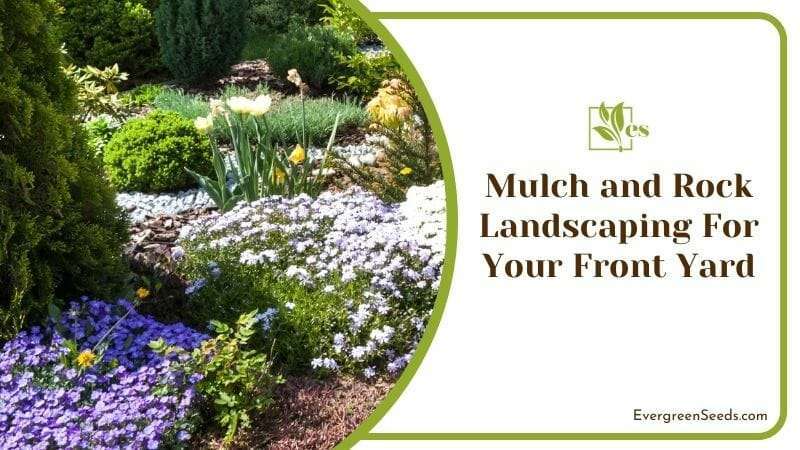 Mulch and Rock Landscaping For Your Front yard