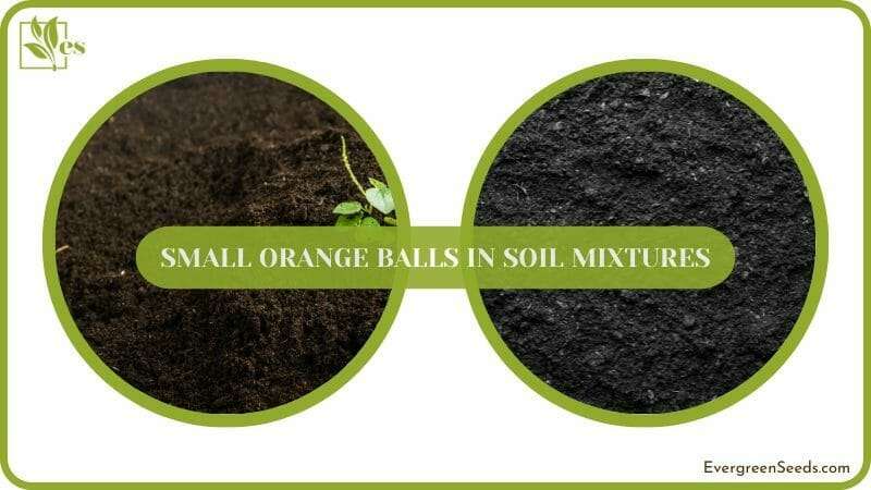 Orange Balls in Soil Mixtures