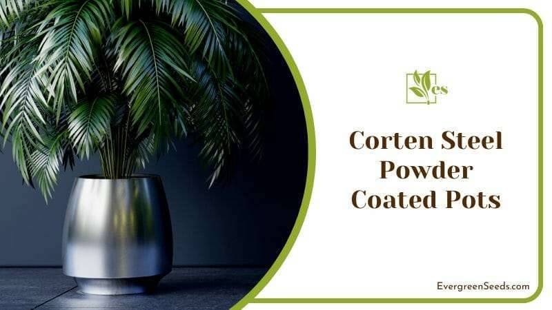 Plants on Corten Steel Powder Coated Pot