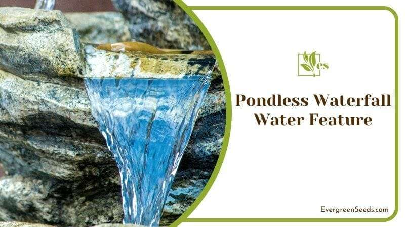 Pondless Waterfall Water Feature