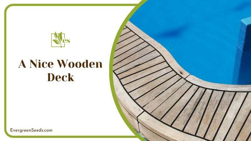 Pool with Wooden Deck