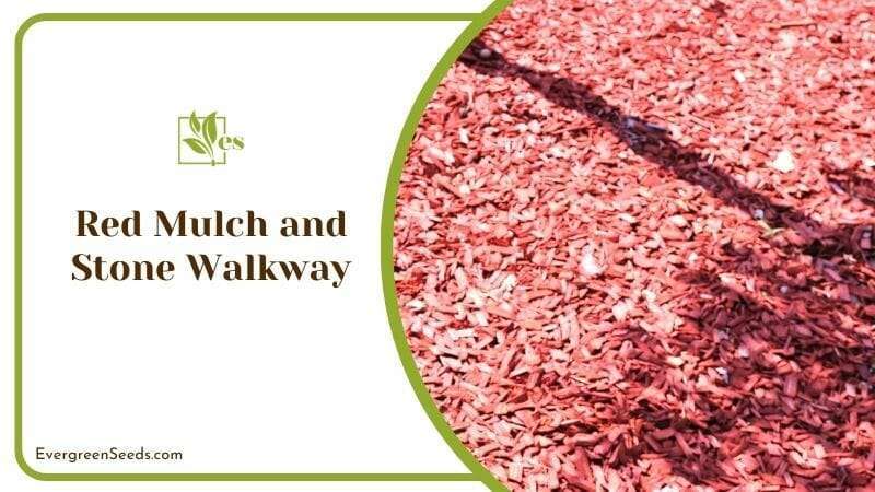 Red Mulch and Stone Walkway