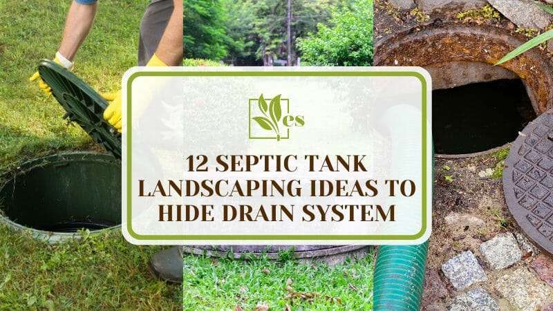 Septic Tank Landscaping Ideas To Hide Drain System