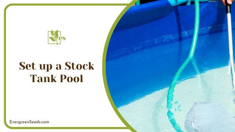 Setting up a Stock Tank Pool