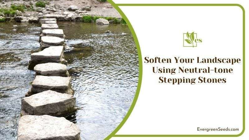 Soften Your Landscape Using Neutral-tone Stepping Stones