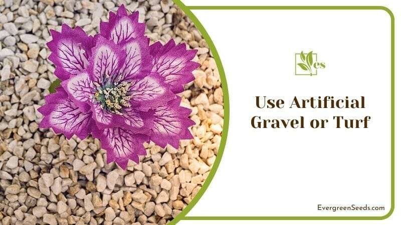 Use Artificial Gravel or Turf