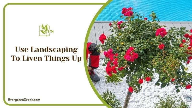 Use Landscaping To Liven Things Up