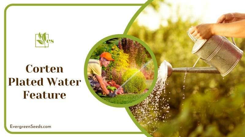 Watering Plants with Steel Water Features