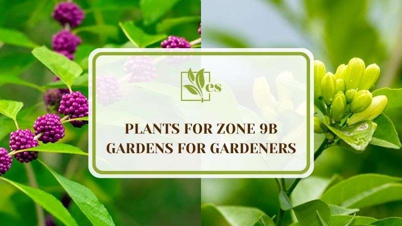 23 Plants for Zone 9b Gardens for Gardeners
