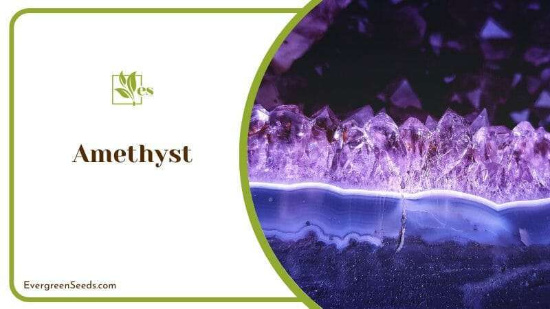 Amethyst a Purple Crystal