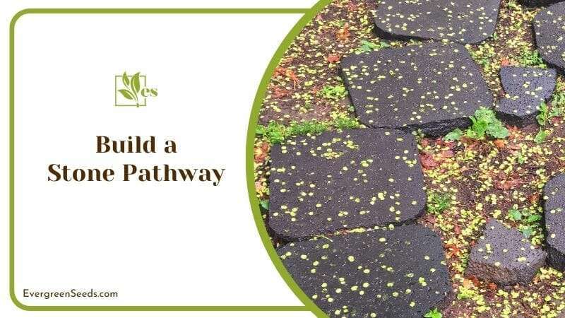 Build a Stone Pathway