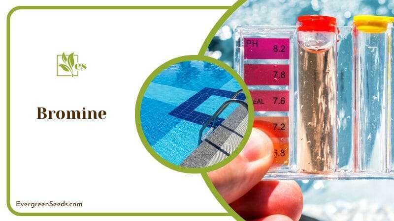 Checking Bromine on Pool Water