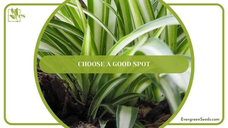Choose a Good Spot