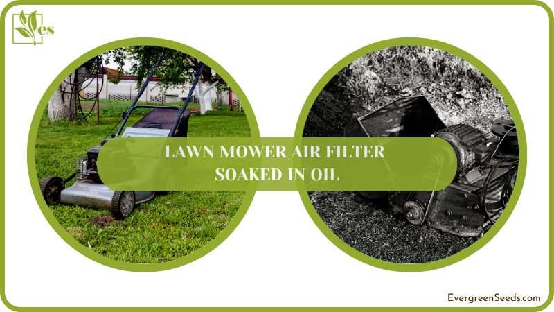 Consequences of a Soaked Lawn Mower Air Filter
