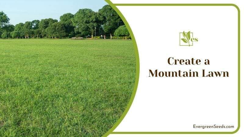 Create a Mountain Lawn