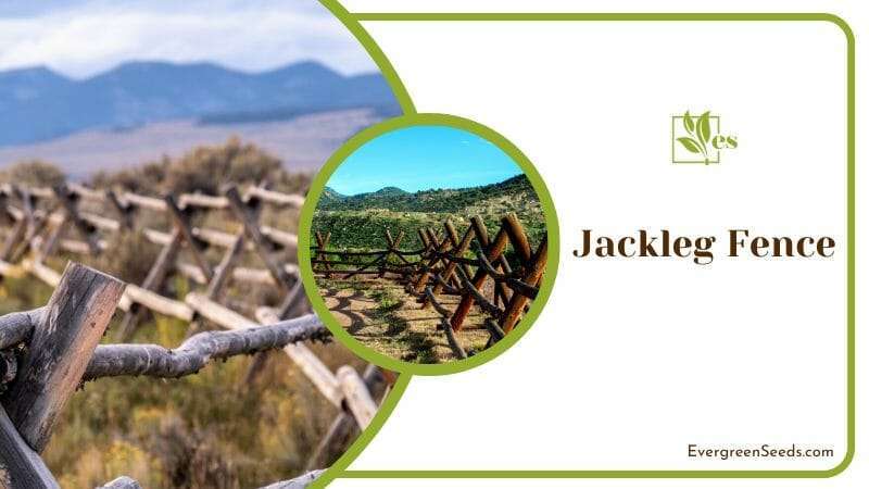 Jackleg Fence Post with Mountain