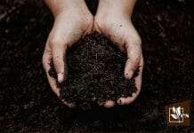 List of the Main Types of Soil