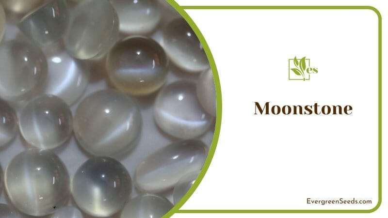 Moonstone a White Crystal