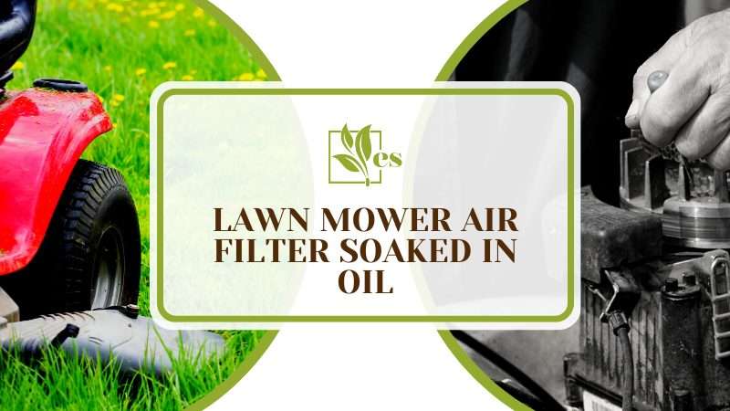 My Lawn Mower Air Filter Soaked in Oil