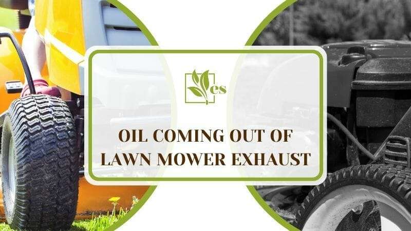 Oil Coming Out of Lawn Mower Exhaust