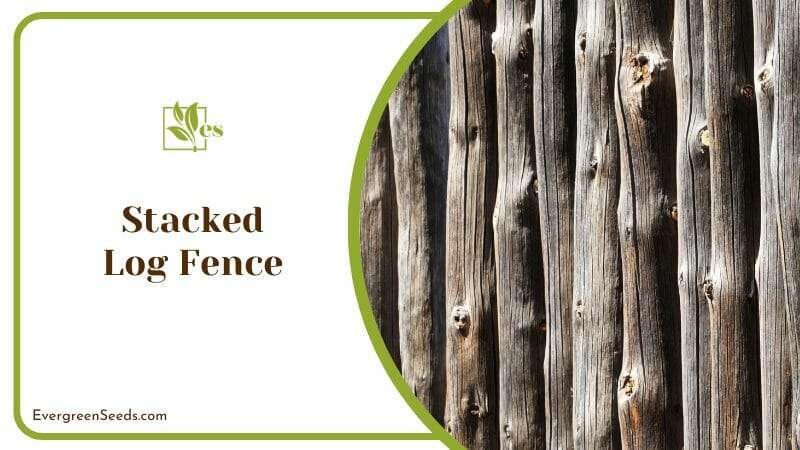 Pine Log Fence