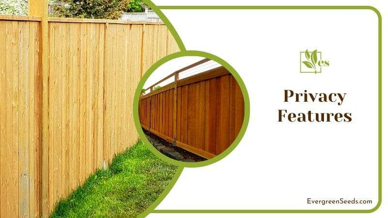Privacy Fence Around Home