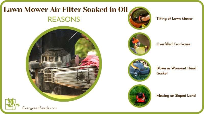 Reasons for Lawn Mower Air Filter Soaked in Oil