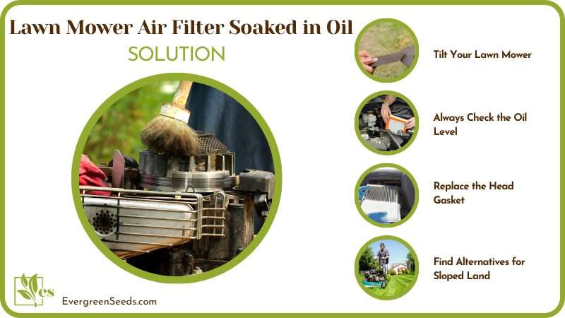 Solution for Lawn Mower Air Filter Soaked in Oil