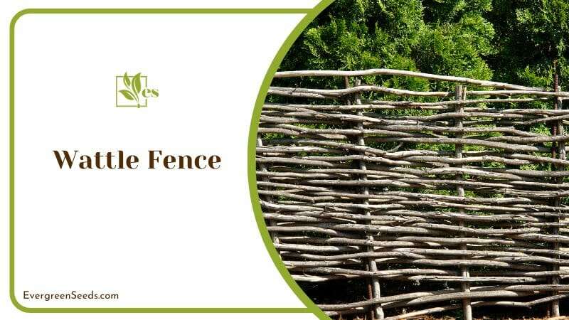 Traditional Countryside Wattle Fence