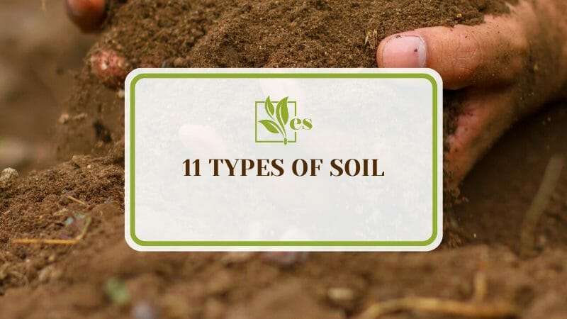 Types of Soil for Garden