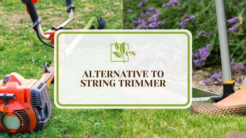 6 Alternative To String Trimmer