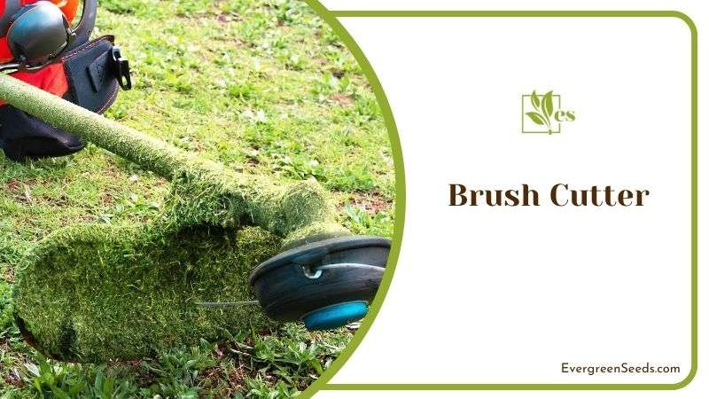 Brush Cutter for Making Lawn Edges