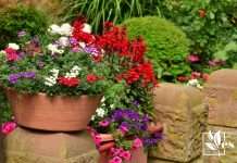List of Ideas on Landscape With Potted Plants