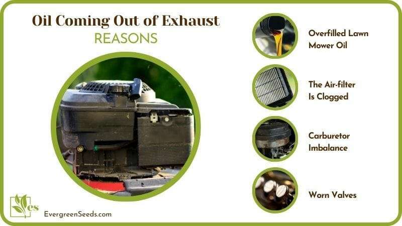 Reasons Oil Coming Out of Exhaust