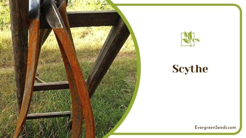 Scythe for Lawn Care