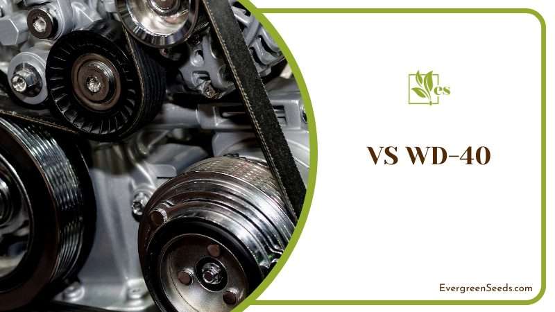 Moisturizing VS WD 40 for Engine Belt